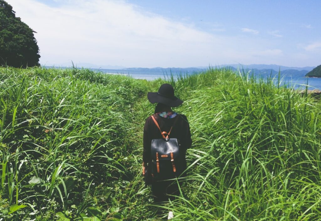 Photo hemp field